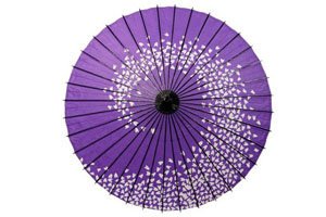 ein lilaner regenschirm mit einem spiralenden kirschblütenmuster in weiß