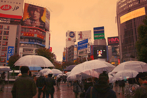 Japan Shibuya Viertel - Viele Transparente Regenschirme auf der Straße. Auf den Gebäuden sind Werbetafeln aufgestellt.