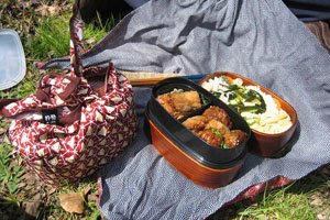 Furoshiki bei einem Piknik.